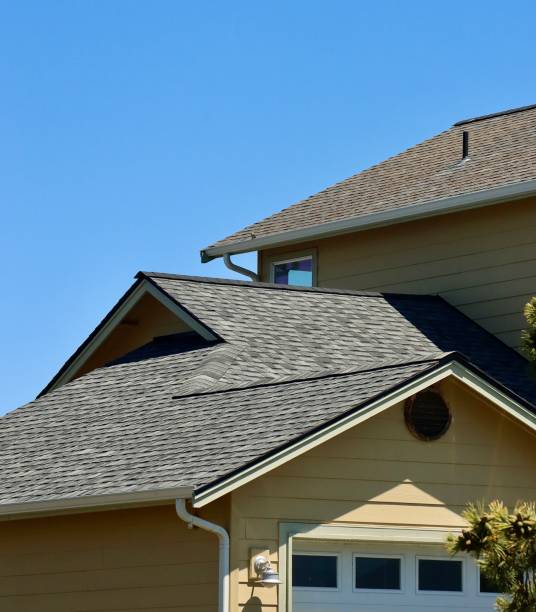 Best Steel Roofing  in Berkley, CO