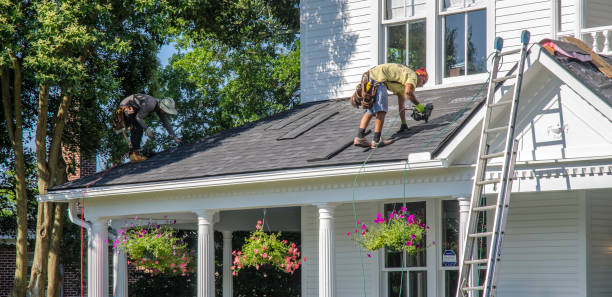 Roof Moss and Algae Removal in Berkley, CO